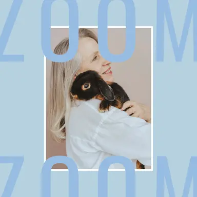 Les animaux, nouveau vecteur de communication