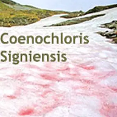 © Mibelle Biochemistry/L'Observatoire des Cosmétiques