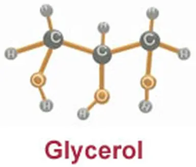 L'ingrédient du mois : le glycérol