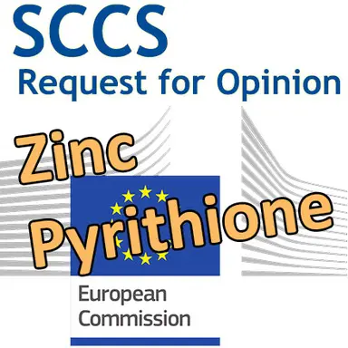 Zinc pyrithione : demande d'Opinion au CSSC