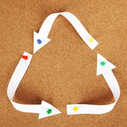Recyclage du plastique : quelle est l'attitude des Américains ?