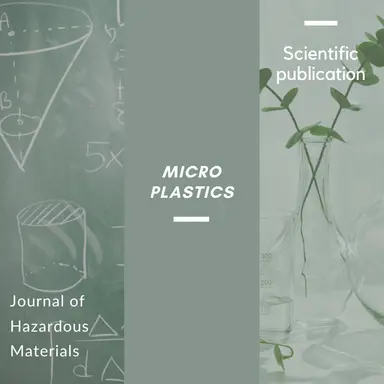 L'altération du microbiote intestinal par les microplastiques