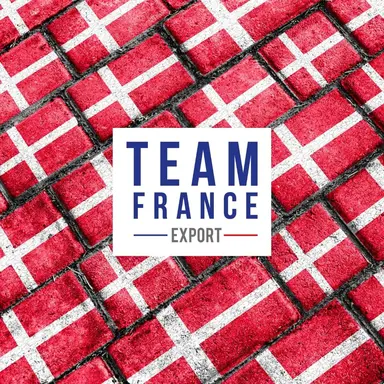 Export : se préparer au marché danois