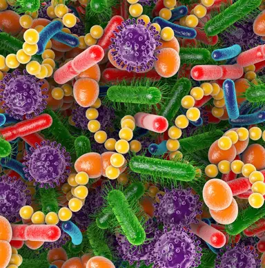 Microbiote : un terme peu connu des consommateurs