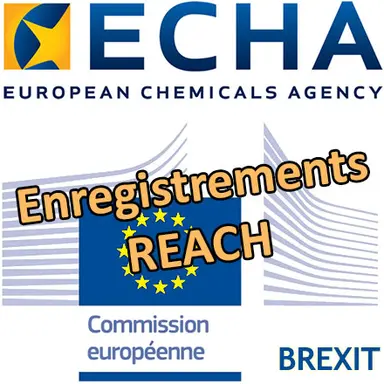 Brexit : le transfert des enregistrements REACH doit être terminé avant fin mars