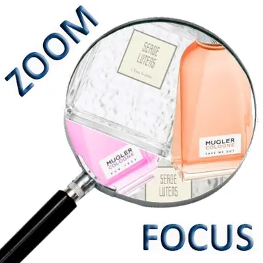 Logo du Zoom