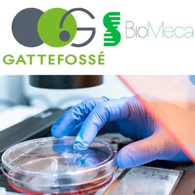 Un modèle de micro-tissu dermique pour étudier l'élasticité de la peau in vitro