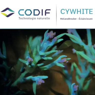 Cywhite : un actif à base d’algue pour éclaircir le teint
