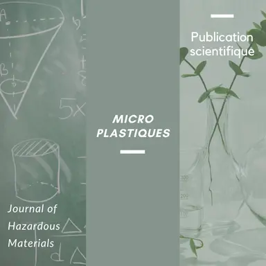 L'altération du microbiote intestinal par les microplastiques