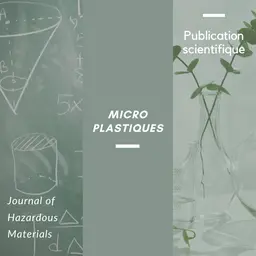 L'altération du microbiote intestinal par les microplastiques
