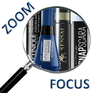 Logo du zoom