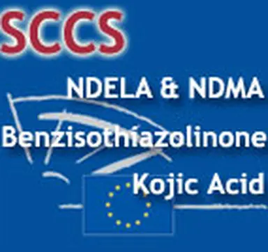 ©CosmeticOBS-L'Observatoire des Cosmétiques
