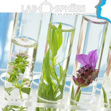 Envie d'un produit naturel ? D'accord, mais quel naturel ?