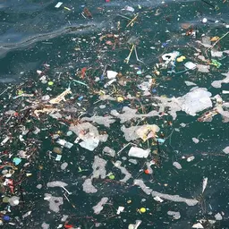 Plastique dans les océans : quelles solutions ?