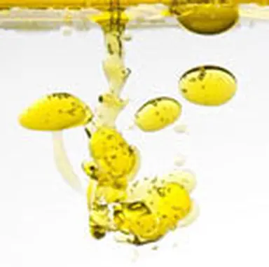© Filipe Varela - fotolia.com