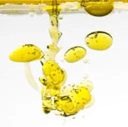 © Filipe Varela - fotolia.com