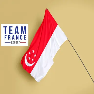 Export : tout savoir sur Singapour