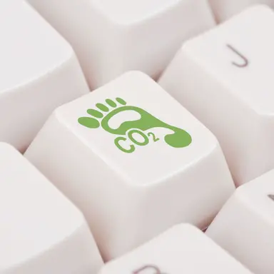 Distribution en ligne : quels impacts sur la planète ?