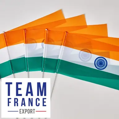 Export cosmétique : comment conquérir l'Inde ?