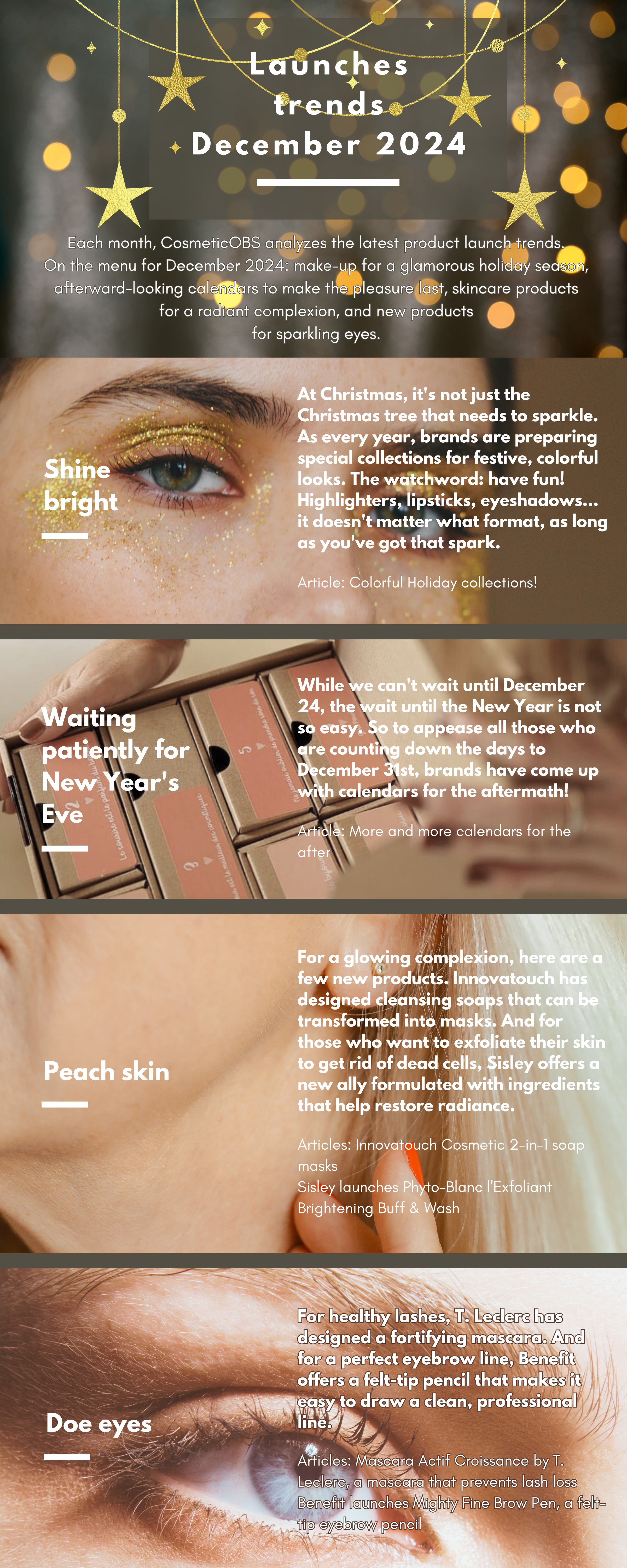 Infographic EN