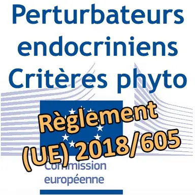 Logo Commission européenne
