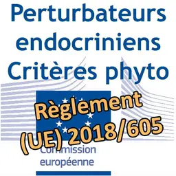 Logo Commission européenne