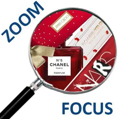 Logo du Zoom