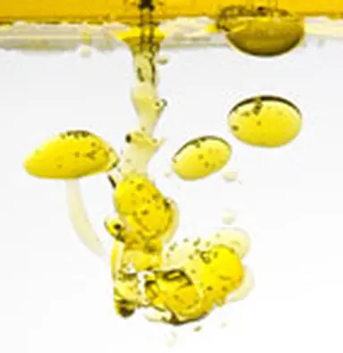 © Filipe Varela ? fotolia.com