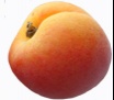 abricot