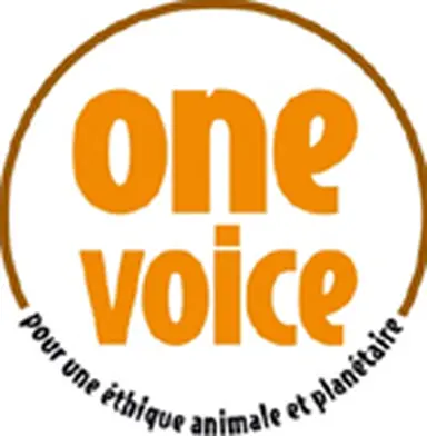 One Voice