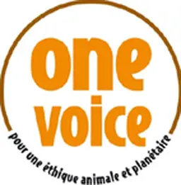 One Voice