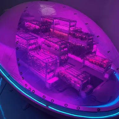 Biotech : DSM-Firmenich annonce son partenariat avec Interstellar Lab