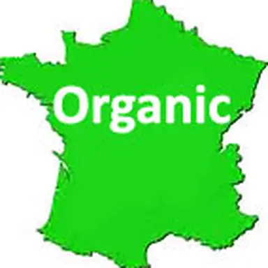 © L'Observatoire des Cosmétiques