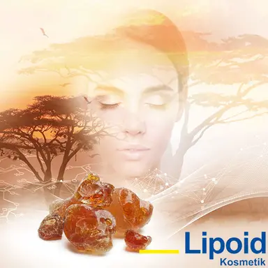 PhytoCollagen de Lipoid Kosmetik : l'alternative végétale au collagène