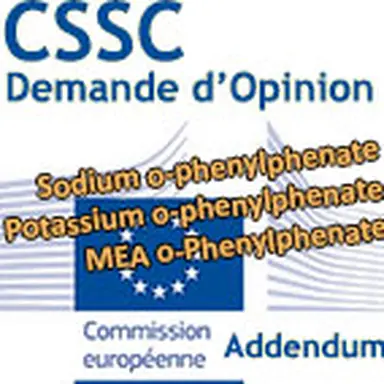 © CosmeticOBS-L'Observatoire des Cosmétiques
