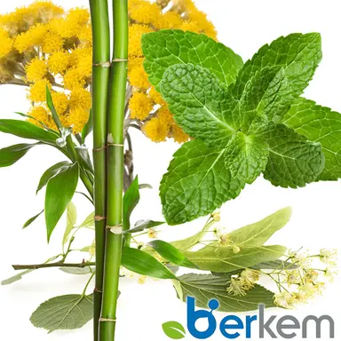 Berkem élargit sa gamme d’eaux florales