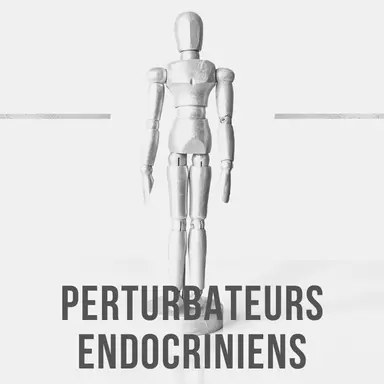 Perturbateurs endocriniens : le dossier