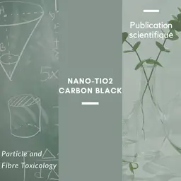 Les nanoparticules de TiO2 et de Carbon black peuvent favoriser la maladie d'Alzheimer