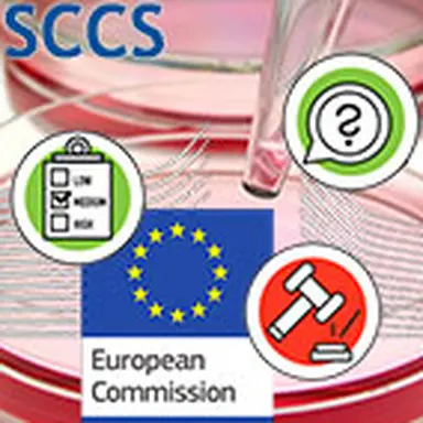 © CosmeticOBS-L'Observatoire des Cosmétiques