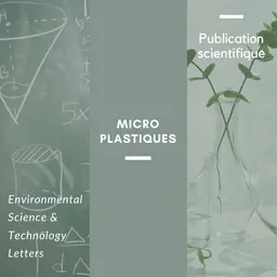 L'association filtres UV-microplastiques rend les métaux lourds plus toxiques
