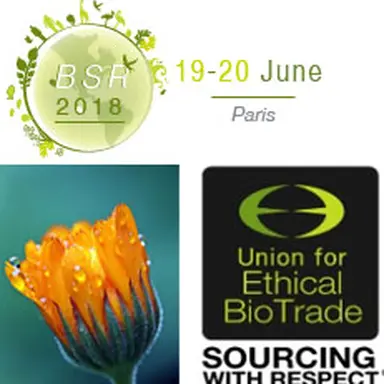 Logos UEBT et BSR 2018