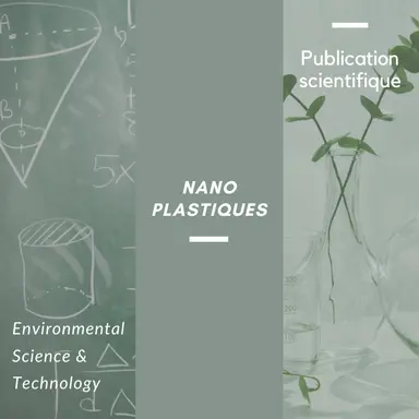 Les nanoplastiques perturbateurs des processus cellulaires dans le foie et les poumons