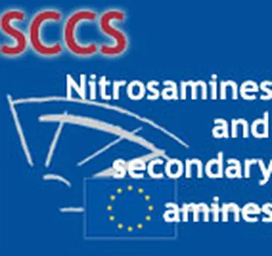©CosmeticOBS-L'Observatoire des Cosmétiques