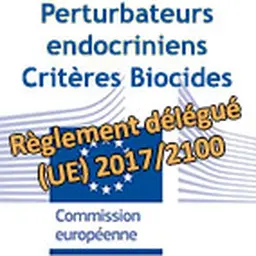 © CosmeticOBS-L'Observatoire des Cosmétiques