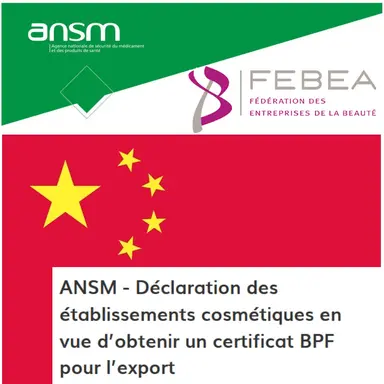 La FEBEA salue le début de l'export vers la Chine sans tests sur animaux