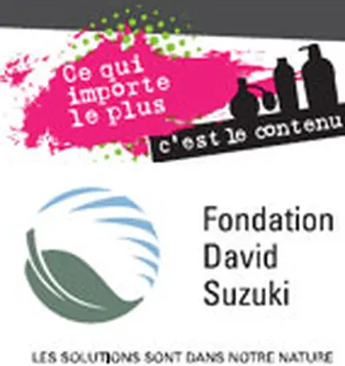 © Fondation Suzuki