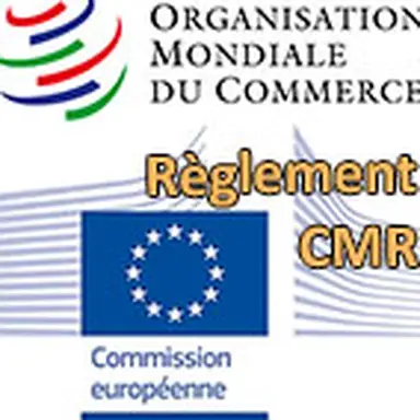 © CosmeticOBS-L'Observatoire des Cosmétiques