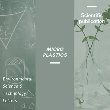 L'association filtres UV-microplastiques rend les métaux lourds plus toxiques