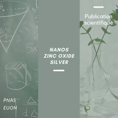 Comment les nanoparticules pénètrent dans le cerveau