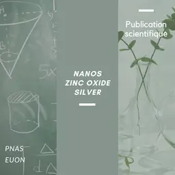 Comment les nanoparticules pénètrent dans le cerveau